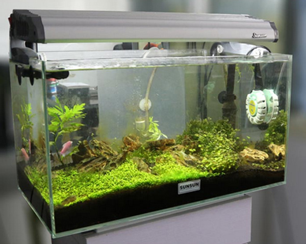 SUNSUN Mini Aquarium Fish Tank Automatic Heater Anti-explosion Heaters Heating Rod