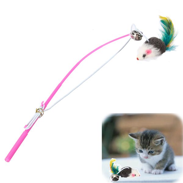 anak anjing kucing pet kucing tikus bermain mainan batang anak anjing kucing pet kucing tikus bermain mainan batang