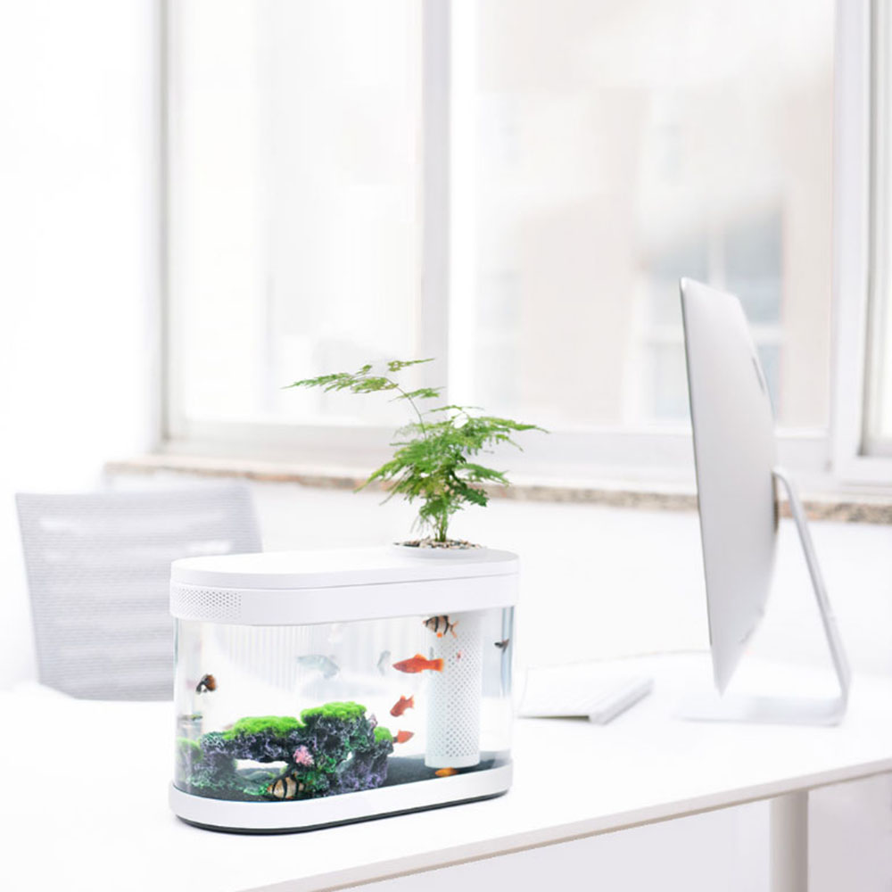Promotion > XIAOMI Aquarium Géométrie Aquaponics Écosystème Petit