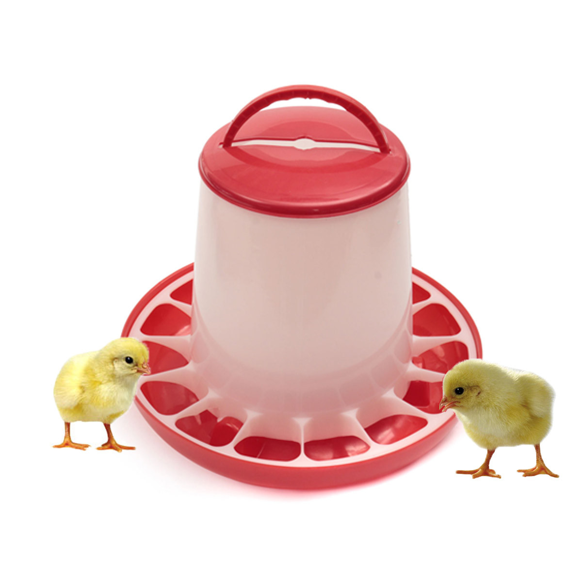 1.5kg Red Plastic Feeder Baby Chicken Chicks Hen Poultry Feeder Lid ...