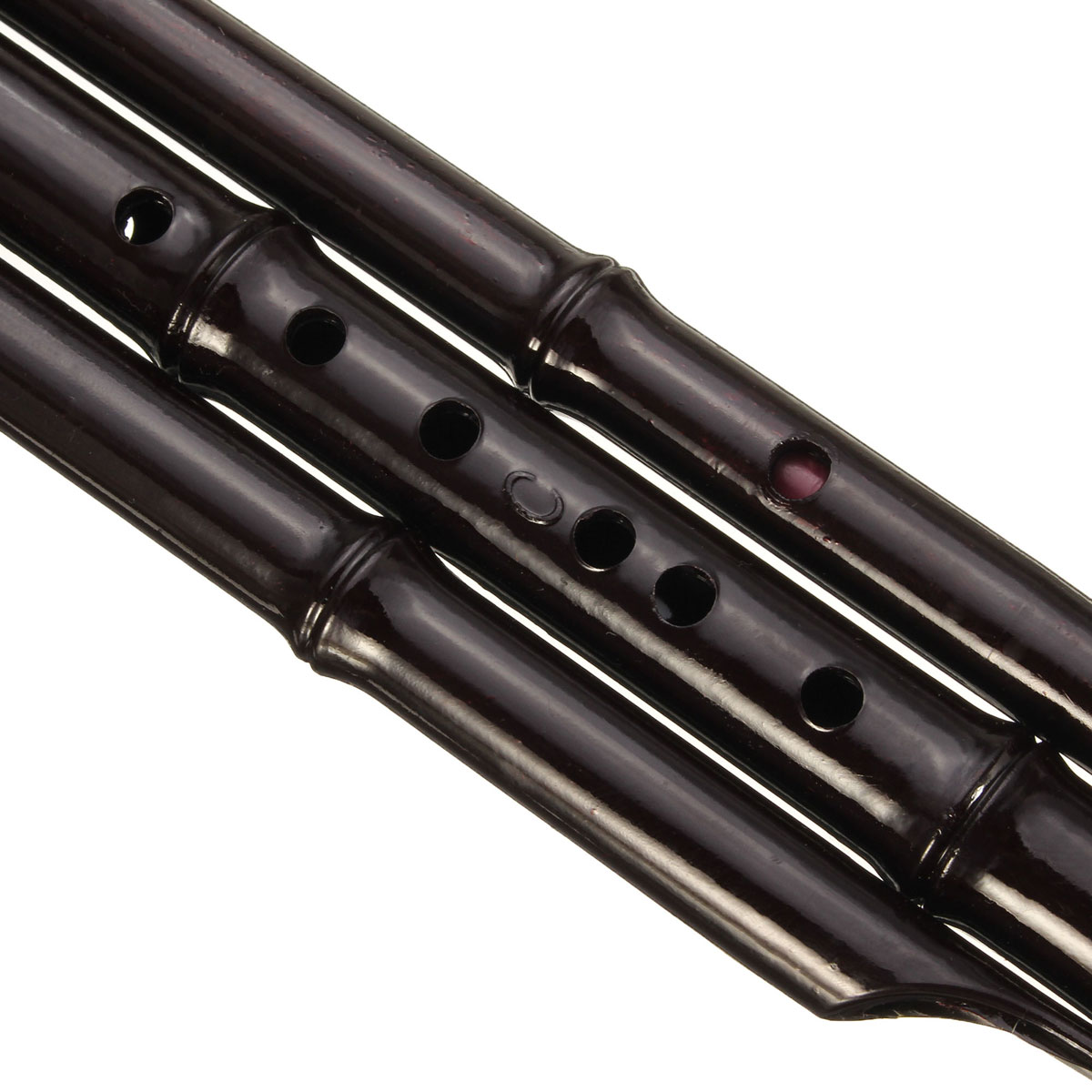 TEMPSA Hulusi Flûte Chinois Double tonalité C/Bb Bémol en Résine