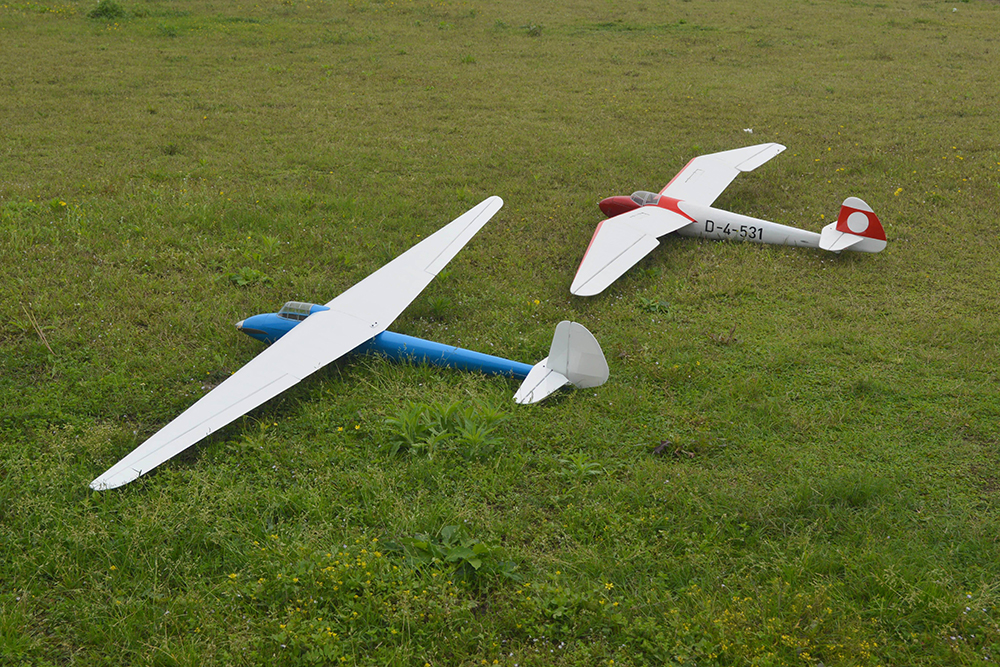 Tony Ray's Aero Model DFS Weihe 1/6.5 2770mm Wingspan Balsa Wood RC Airplane Glider KIT
