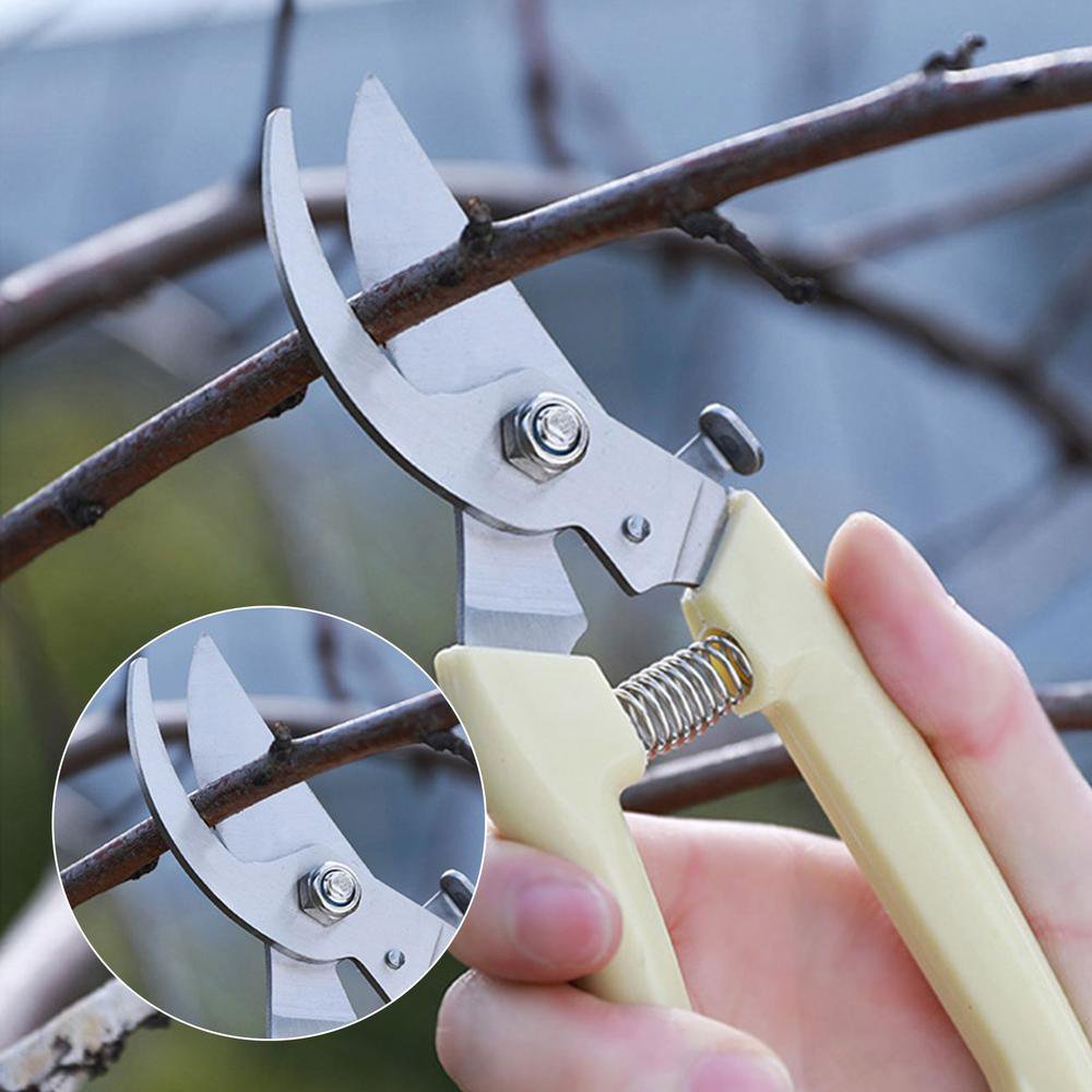 Garden Scissors for Plant Tip Pruning Shears for Cutting Flowers Trimming Plants Bonsai and Fruits Picking Bypass Blade Pruner