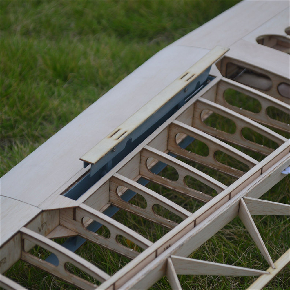 Tony Ray's Aero Model DFS Kranich 3000mm Wingspan 1/6 Scale Balsawood RC Airplane Glider KIT