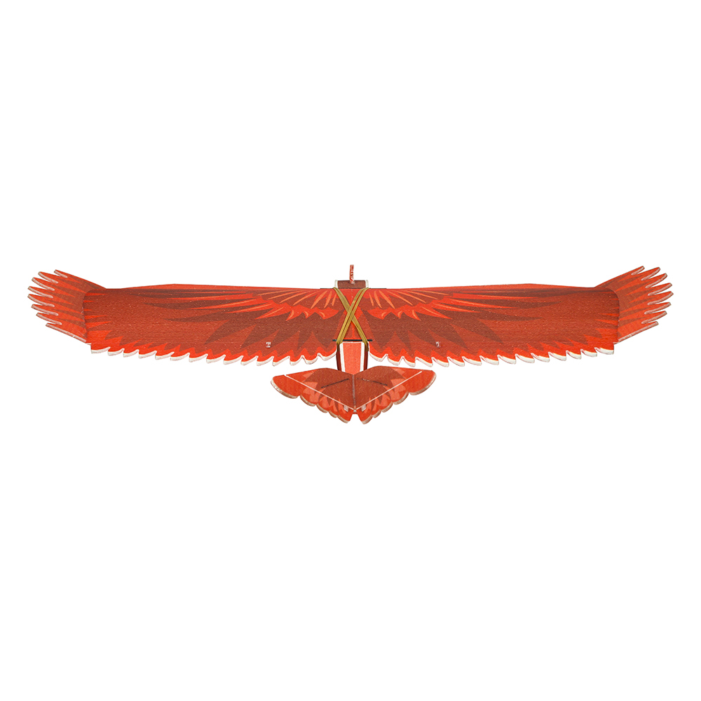 Dancing Wings Hobby E34 New Biomimetic Northern Cardinal 1170mm Wingspan EPP Foam Slow Flyer RC Airplane KIT/ KIT+Power Combo