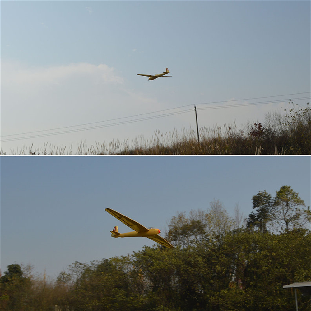 Tony Ray's Aero Model DFS Kranich 3000mm Wingspan 1/6 Scale Balsawood RC Airplane Glider KIT
