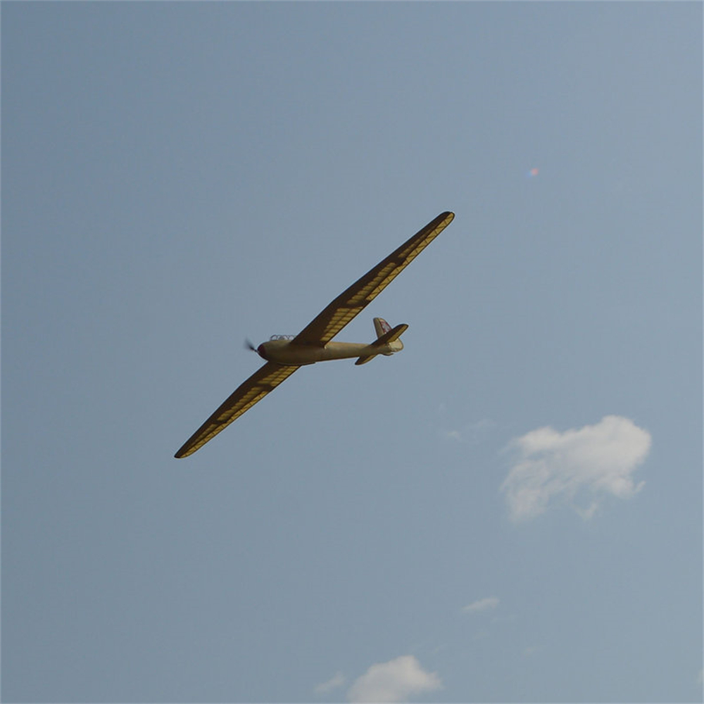 Tony Ray's Aero Model DFS Kranich 3000mm Wingspan 1/6 Scale Balsawood RC Airplane Glider KIT