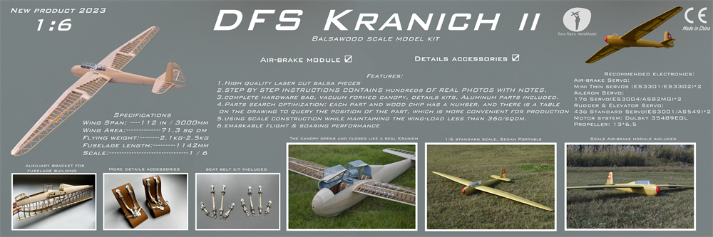Tony Ray's Aero Model DFS Kranich 3000mm Wingspan 1/6 Scale Balsawood RC Airplane Glider KIT