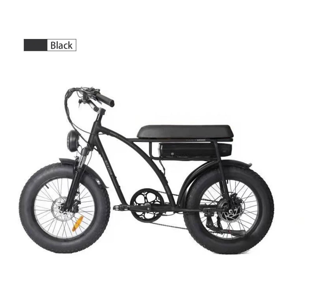 [US DIRECT] BEZIOR XF001 48V 12.5AH 1000W Electric Bicycle 20*4.0 Inch 35-37KM Mileage Range Max Load 120KG
