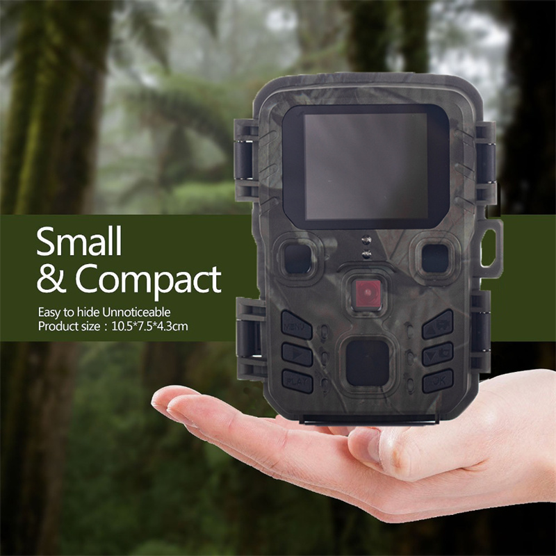 Suntekcam Mini 301: la cámara para vida salvaje rentable