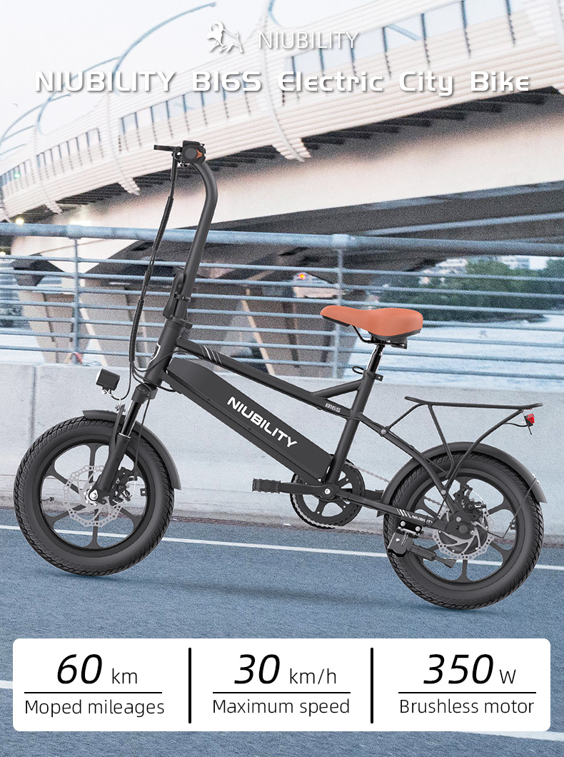Te melyik elektromos bringával járnál idén nyáron? 29