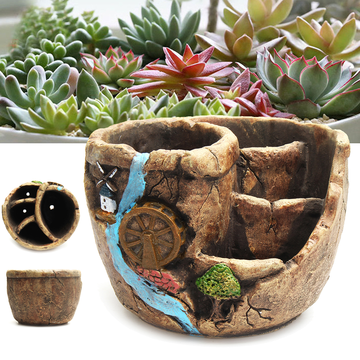 Bonsa/ï De Balcon De Maison De Jardin De Bricolage 100pcs Graines de cactus good01 100pcs Mini-cactus D/écoratif Succulentes Graines De Plantes /à Lest De Cro/ître