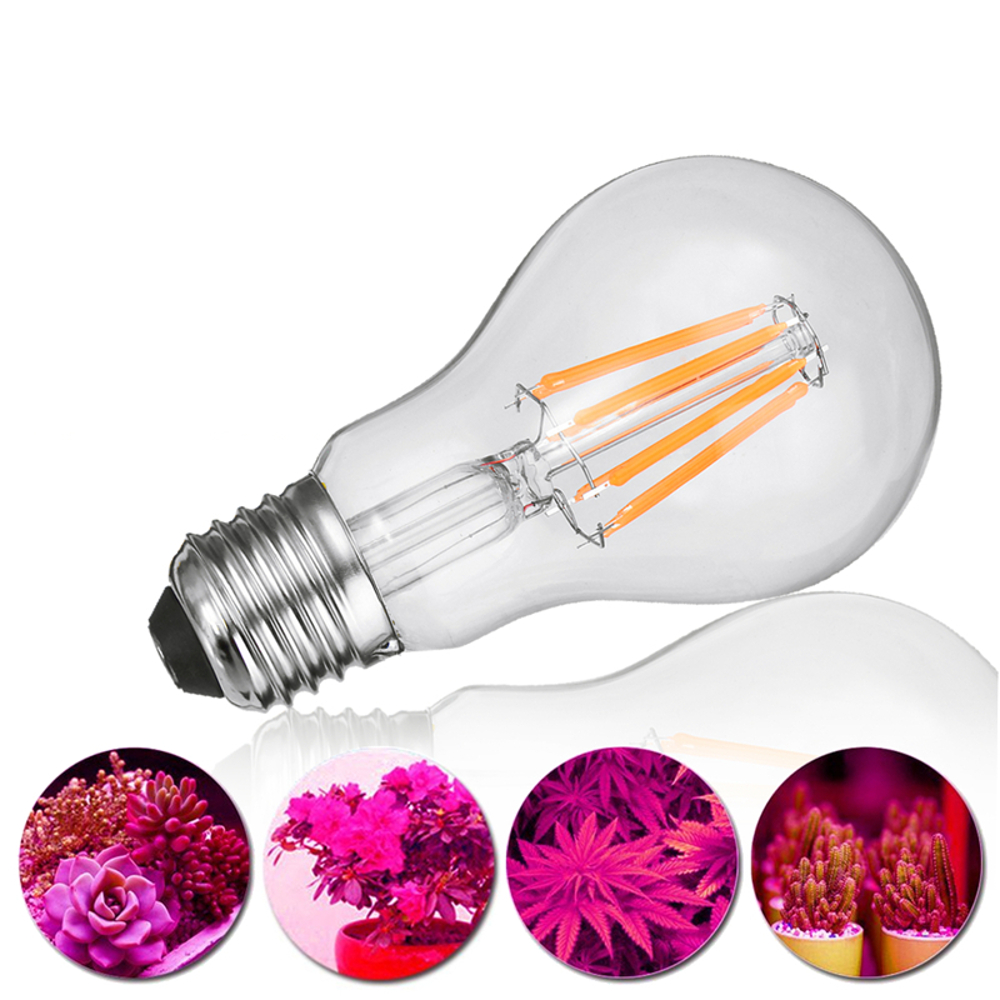 NEUFU 8W A60 Ampoule Lampe Plante Croissance Floraison Horticole