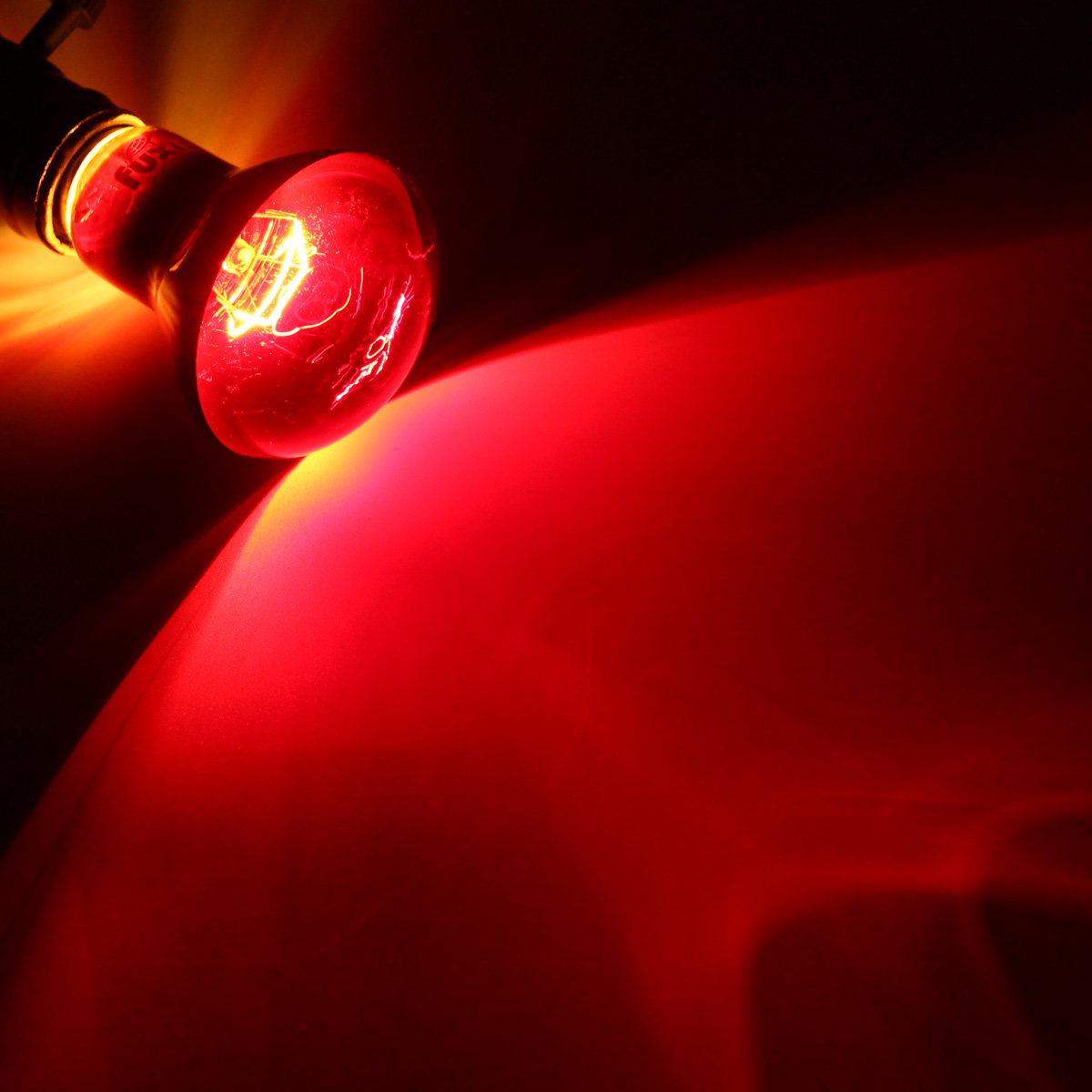 TEMPSA B27 R63 Ampoule chauffante verre rouge pr reptiles 63mm 25W