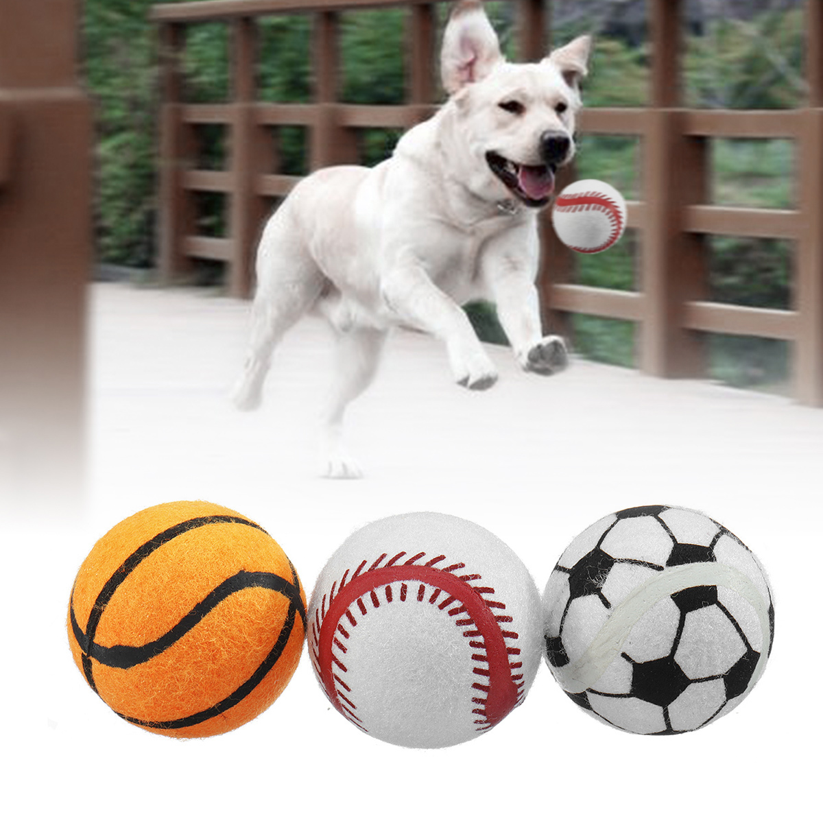 3 PCS Chiot Jouet Balle pour Chien Animaux Jeu de Formation en