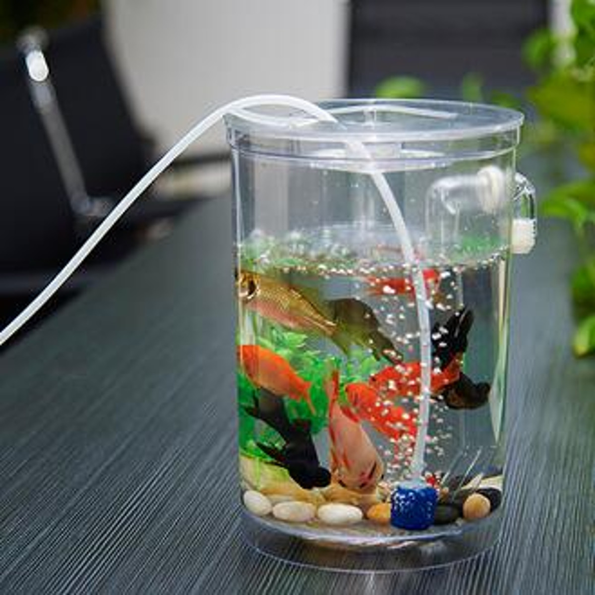 TEMPSA Mini  Aquarium  Cylindre Ecologique Pour Maison  