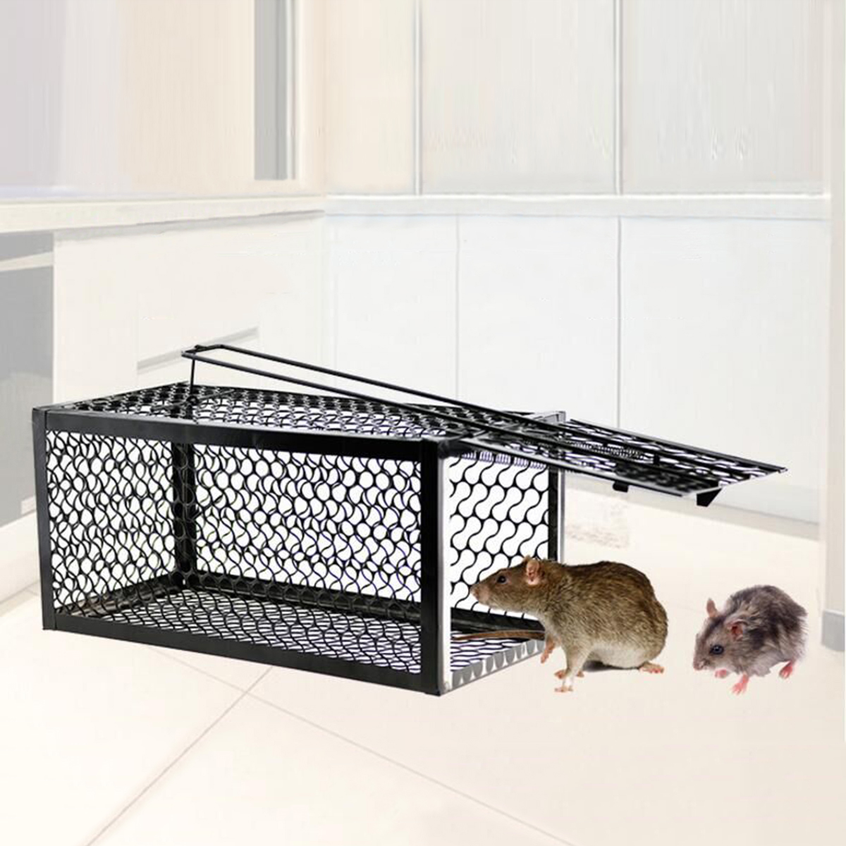 Piège à Rats Et Souris Vivant XXL 43x14x12 Cm - Double Porte, Acier Galvanisé, Réutilisable - Capture Humaine Sans Tuer