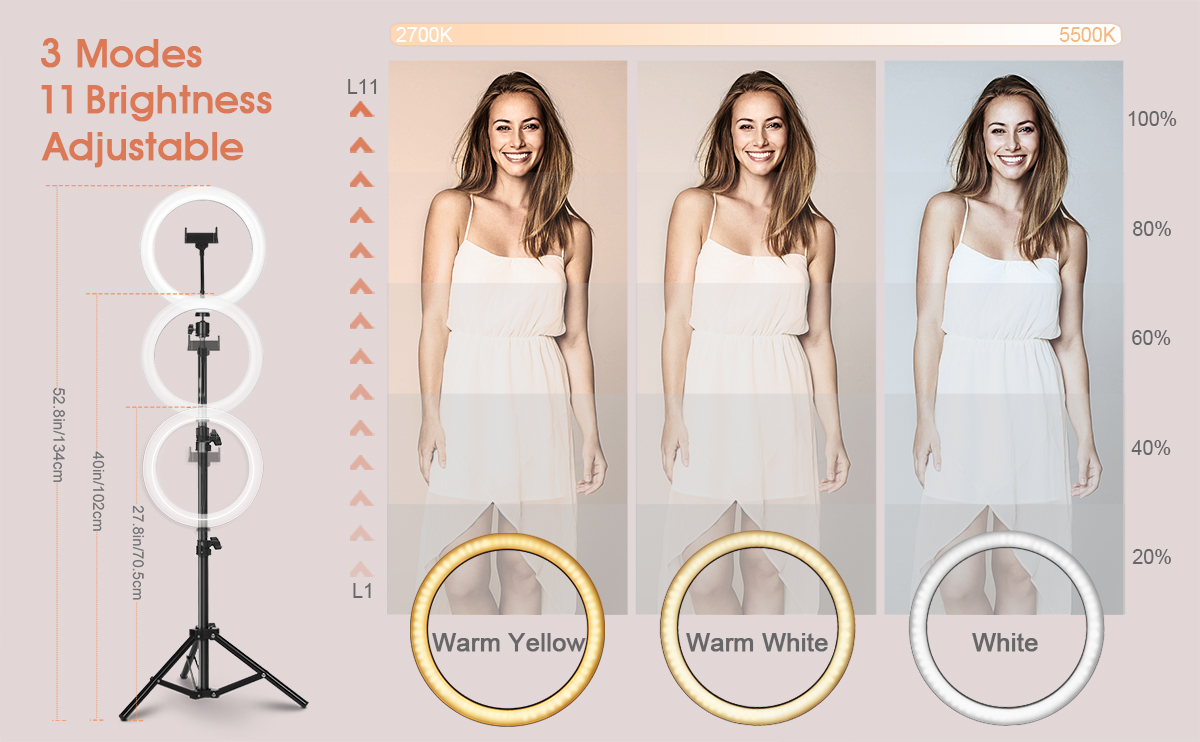 ELEGIANT EGL06 10" Ring Light 52.8" Extendable Aluminum Alloy Tripod