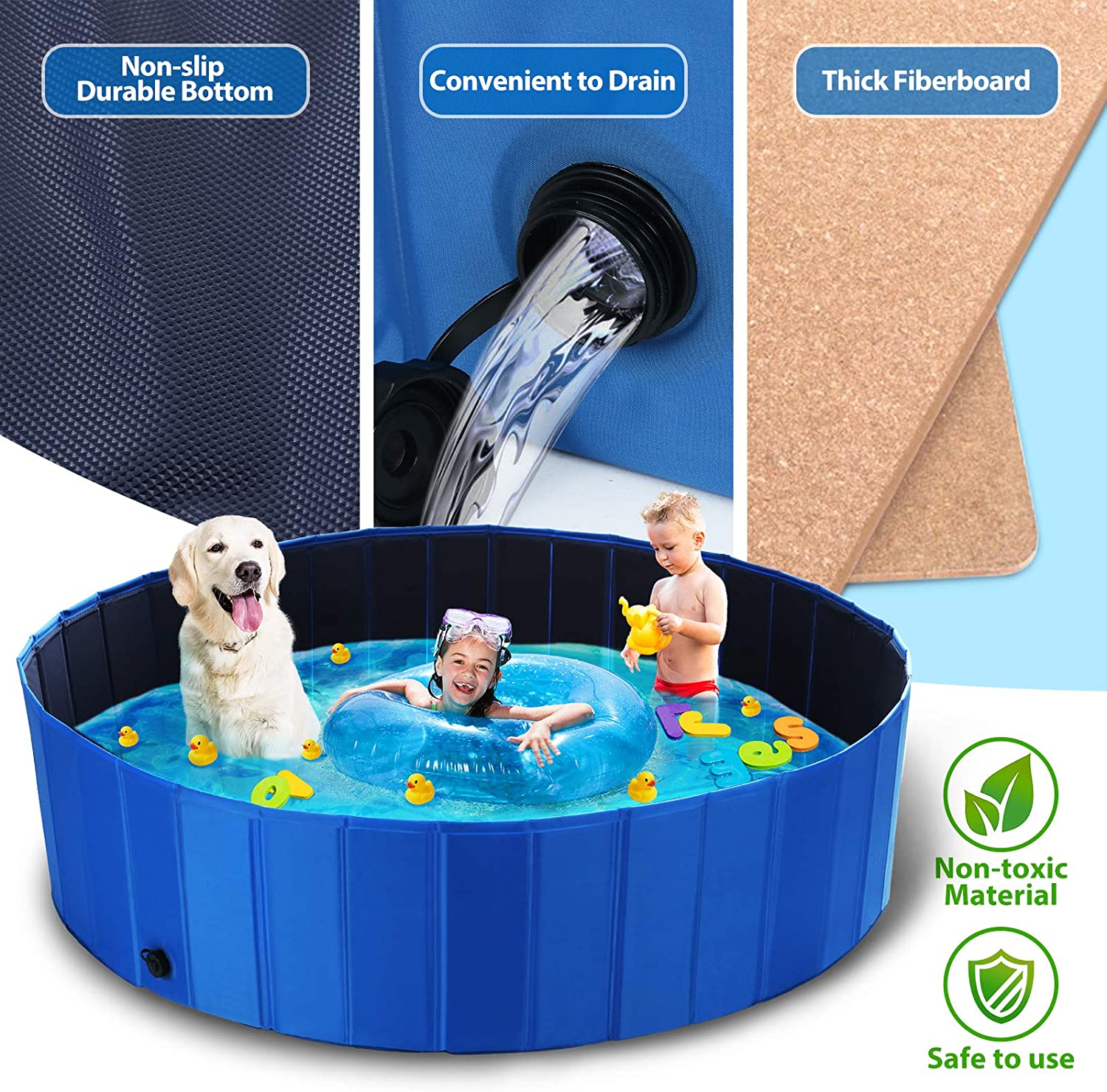 dog kiddie pool