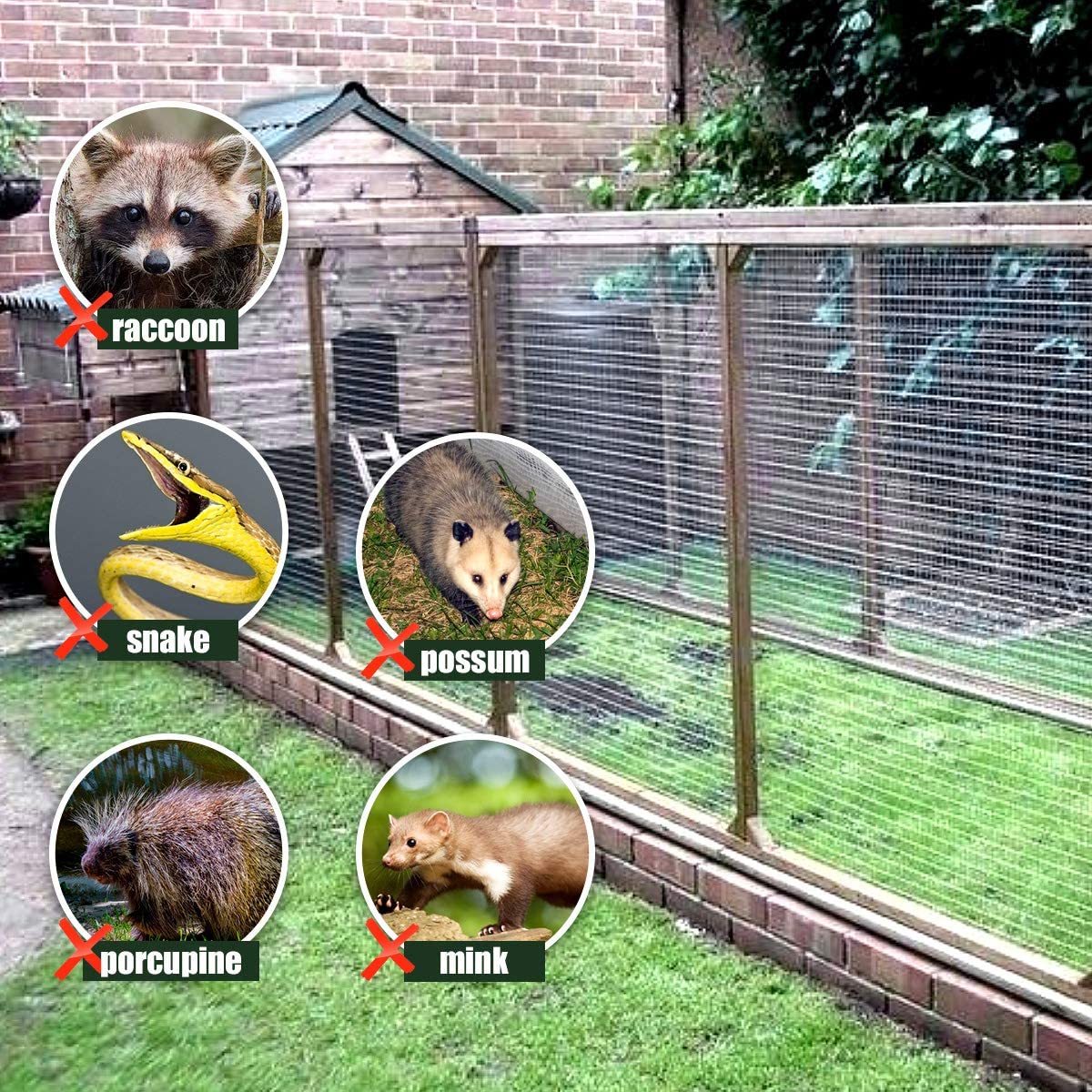 1/2" Mesh 36" x 50' Hardware Cloth 19 Gauge with Hot-Dipped Galvanized Material, For Garden Fence and Home Improvement Projects 1/2" Mesh 36" x 50' Hardware Cloth 19 Gauge with Hot-Dipped Galvanized Material, For Garden Fence and Home Improvement Projects