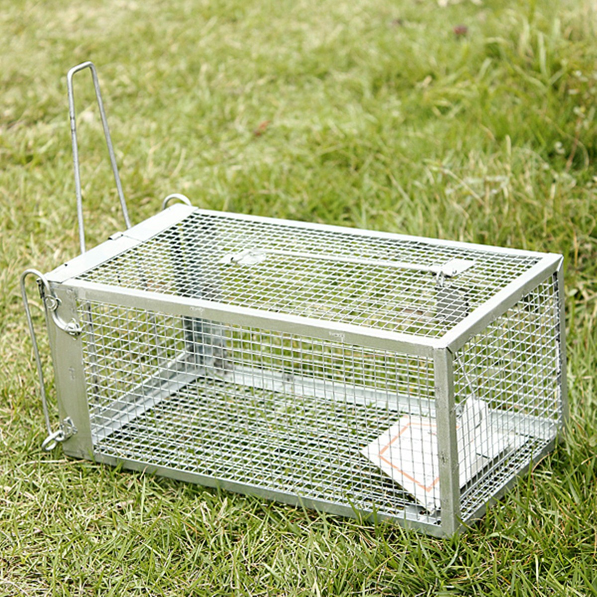 Reusable Hamster Cage Mice Rat Control Catch Bait Live Trap Rodent ...