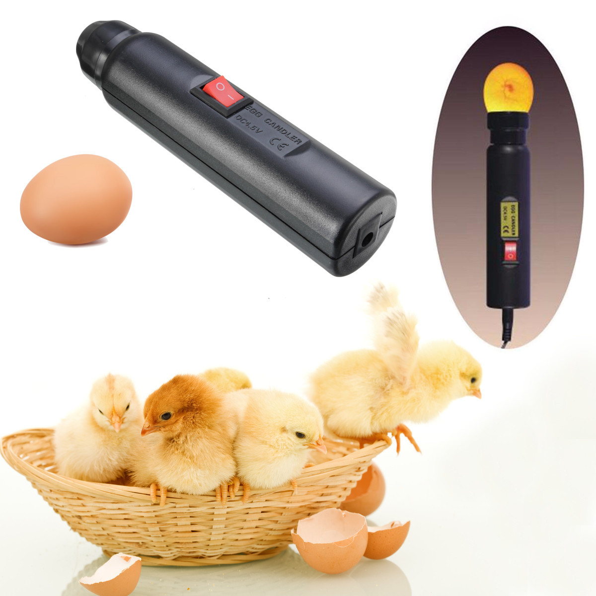 Lampe à Œufs LED - Testeur Fertilité Pour Incubateur - Lumière Froide Sans Chaleur - Rechargeable USB