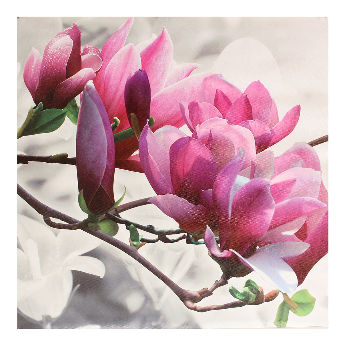 3Pcs Magnolia Cuadro Pintura al óleo Mural Lona Arte Decoración Hogar